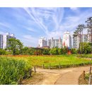 상동호수공원 이미지