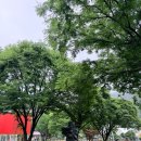 두리아트센터 | 학생 형제 아이들과 가볼만한 곳. 양주 가나아트파크 후기 (국립아세안휴양림 가는길에 들리기 좋은 곳)