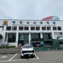 대신산업 | 여수 아기랑 가볼만한곳｜해양수산과학관 아쿠아리움 대신 다녀온 후기