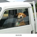 어서타개 이미지