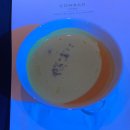 구)조선일보 앞 | 눈물이 차올라서 고갤 들어