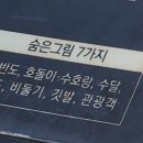 화천시티투어(평화누리호) 이미지