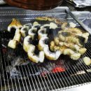 힘찬 민물 장어 이미지