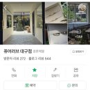 나영주얼리 | W/ 대구 워킹예신 예물반지 [퓨어러브] 계약후기 및 할인코드