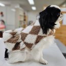 펫의류&펫소품 만들기 이미지