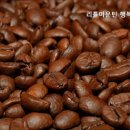 리틀마운틴행복한목동점