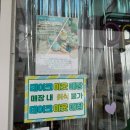 욜로카롱
