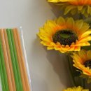 타파웨어홈파티스스튜디오 이미지