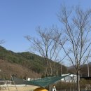 낙동강세평하늘길 | 낙동강세평하늘길 트래킹🍀 분천 산타마을