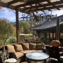 민들레울 이미지