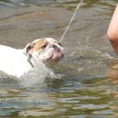 달빛고운 월성캠핑장 이미지