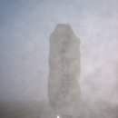 초은목장 | 2차대간(24) : 대관령~노인봉~진고개