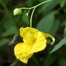 찬란한 인생 이미지