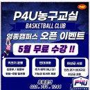 피포유 이미지