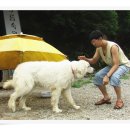 프란다스펜션 이미지