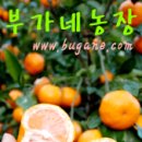 에스농장 이미지