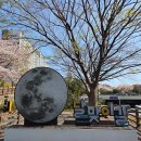 양운로 56 이미지