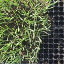 우경농원 이미지