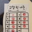 한아름슈퍼 | 건대 방탈출카페 이스케이프 건대점 테마 추천 / 고양학개론 2인 탈출 후기