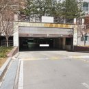 디자인시티블루밍아파트 Daum카페