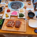 육장갈비속초