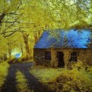 숲속작은집 이미지