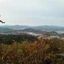 비호축산 이미지