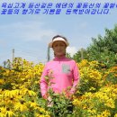 에덴꽃동산 - 남동구 호구포로 532 | 에덴꽃동산