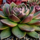 꿈의궁전 이미지