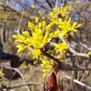 이천1리 이미지