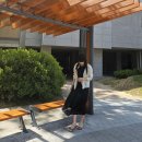 클리닝리퍼블릭 | [필수템] 쿨셔츠 3컬러