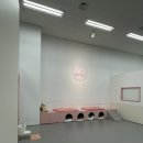 댕큐 | 댕큐 대구애견유치원 이용 후기