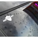 수원-0333 이미지