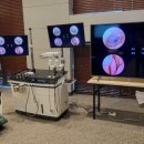 레티나메디칼 이미지