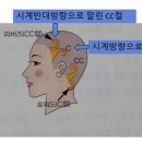 와인즈업