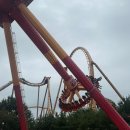 월드비나 | 비 80프로 폭우날 경주월드 놀이기구 방문 후기 / 고소공포증 있는 사람 놀이기구 추천