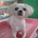 금정고등학교 이미지