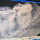 연세W치과의원 이미지