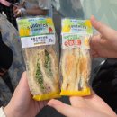 세븐일레븐 가능동심점 | 상하이 3일차 (250415 ~ 250418)