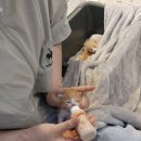 군산서 새끼고양이 2마리 쓰레기로 버려져…시민 '공분' 이미지