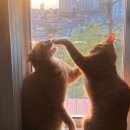 보경동물병원 이미지