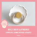 신생아쪽쪽이 추천 프리그 데이지 공갈젖꼭지로 육아용품 준비