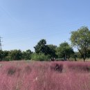 한강 산책 이미지