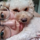 사과꽃치과의원 이미지