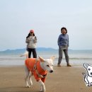 마량 5일시장(마량놀토시장) 이미지