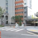 대흥365약국 이미지