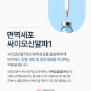 알파강남