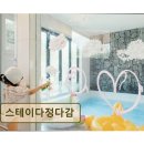 <양양 펜션 추천> 스테이다정다감 아이 전용 수영장과 넓은 놀이터 완비