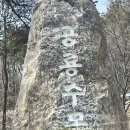 이천｜아이와 가볼만한 곳｜덕평 공룡수목원｜솔직 후기