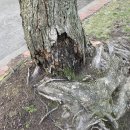 SNPE 바른자세 척추운동 이미지